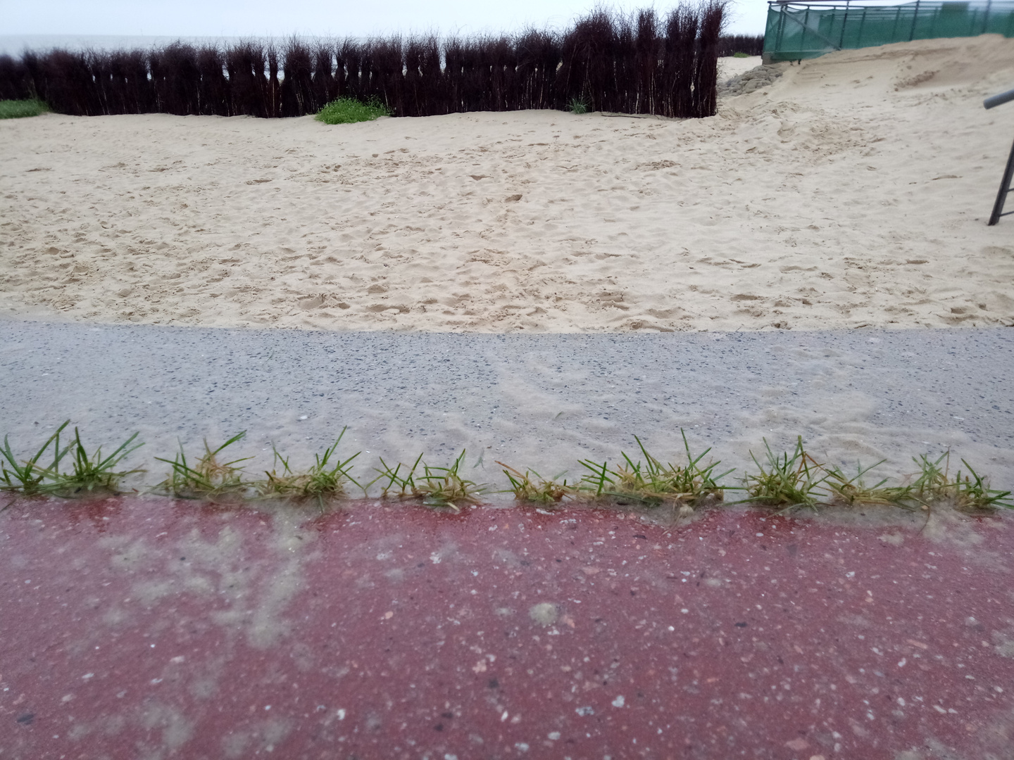 strandleben im oktober