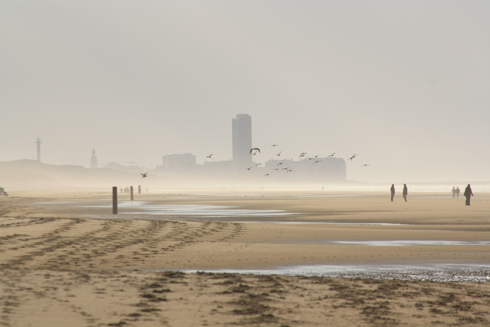 Strandleben im Winter