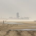 Strandleben im Winter