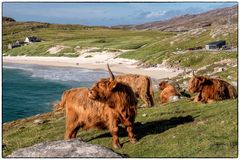 Strandleben in Schottland