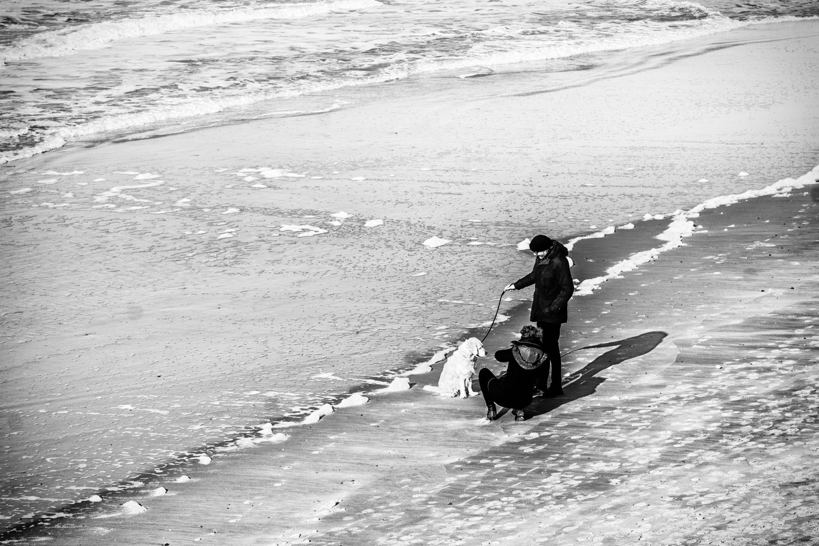 Strandleben mit Hund