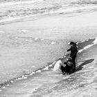 Strandleben mit Hund