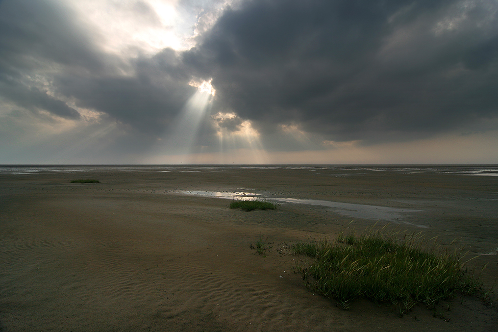 ~ Strandleuchten ~