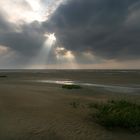 ~ Strandleuchten ~