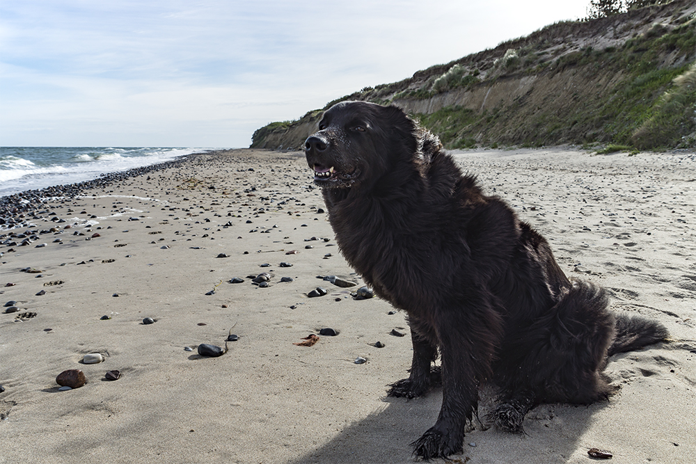 Strandliebhaber