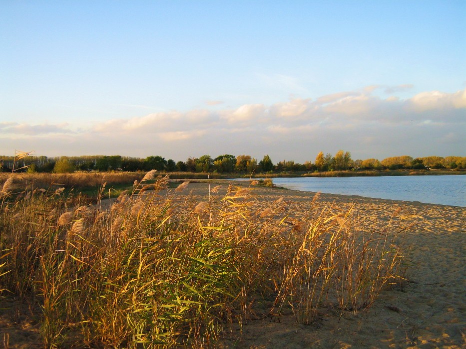 Strandlinie