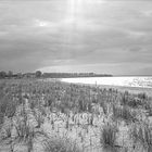 Strandlinien 2