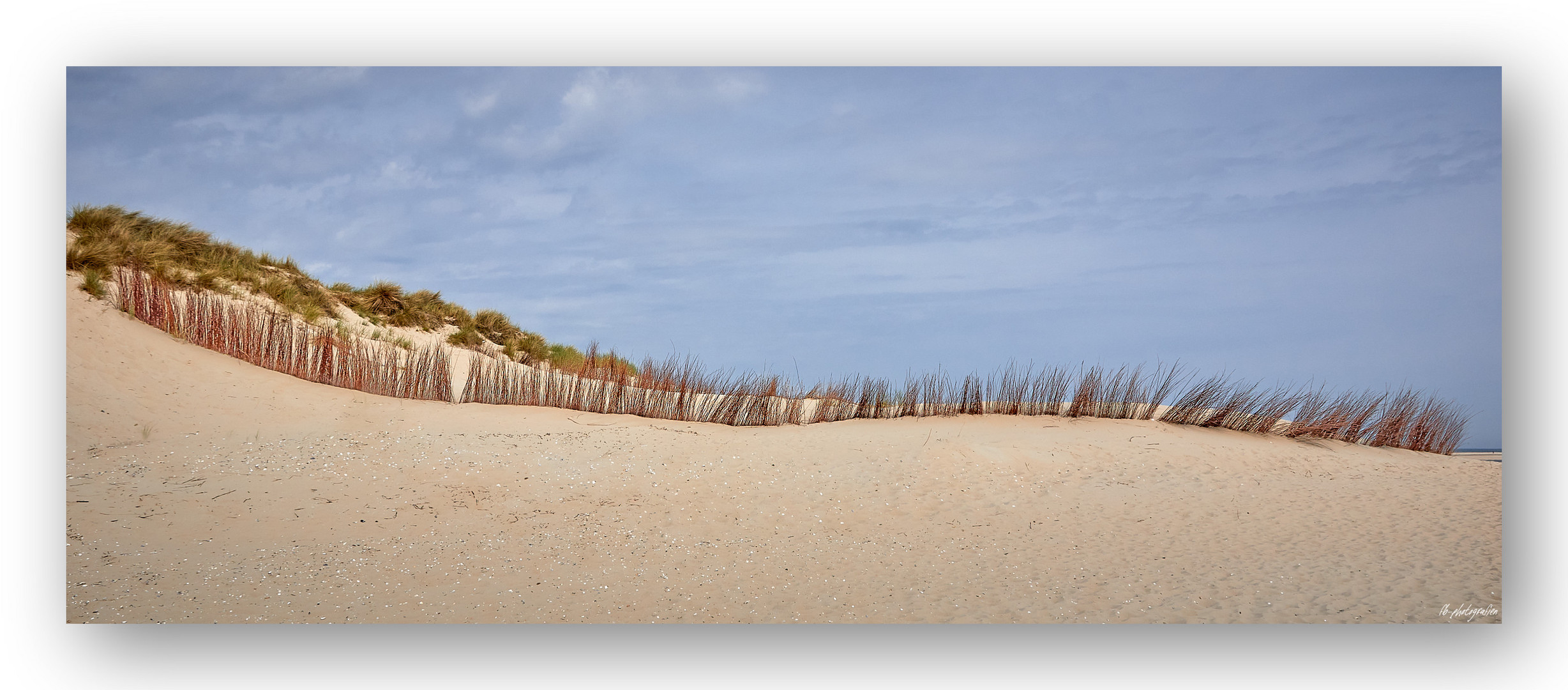 Strandlinien