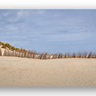 Strandlinien