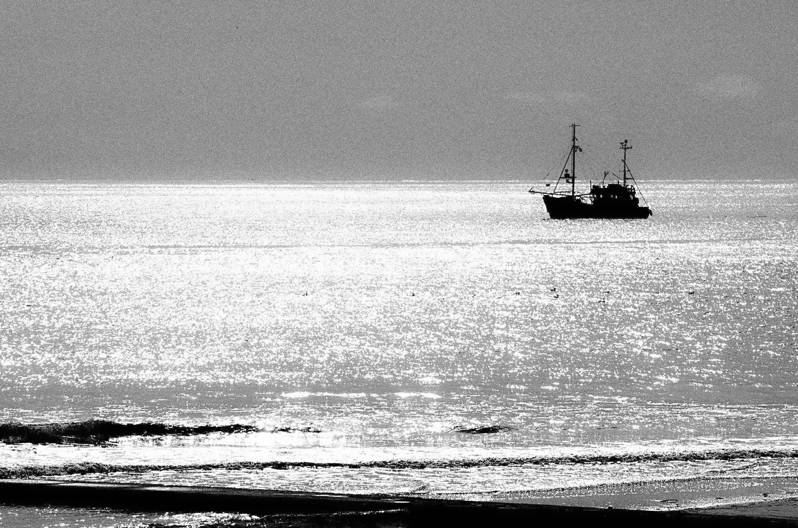 Strandlinien - 8.   Geisterschiff