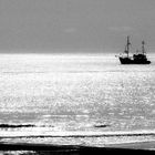 Strandlinien - 8.   Geisterschiff