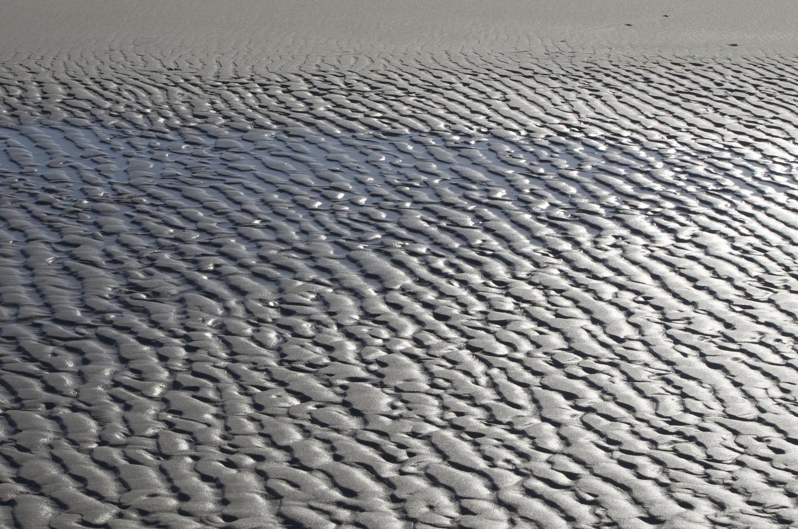 Strandmakro Amrum 3