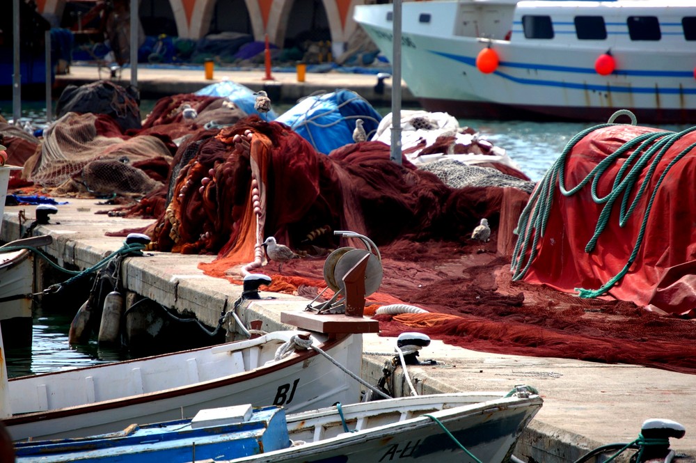 Strandmarine der Möven