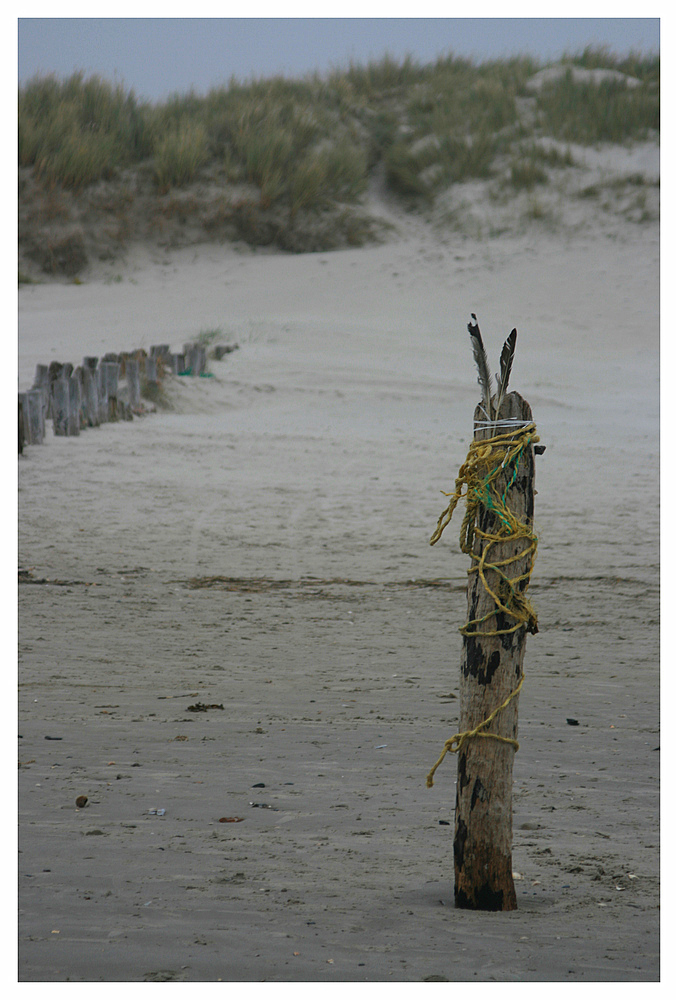 Strandmarterpfahl