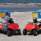 Strandmiezen im Buggy