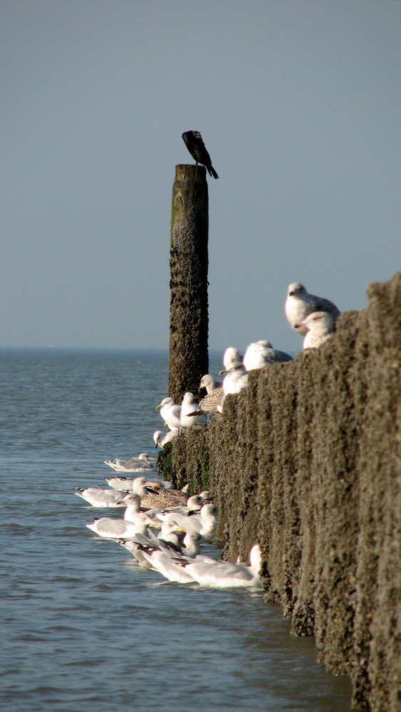 Strandmittag