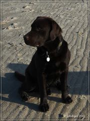 Strandmodel Cooper auf Langeoog