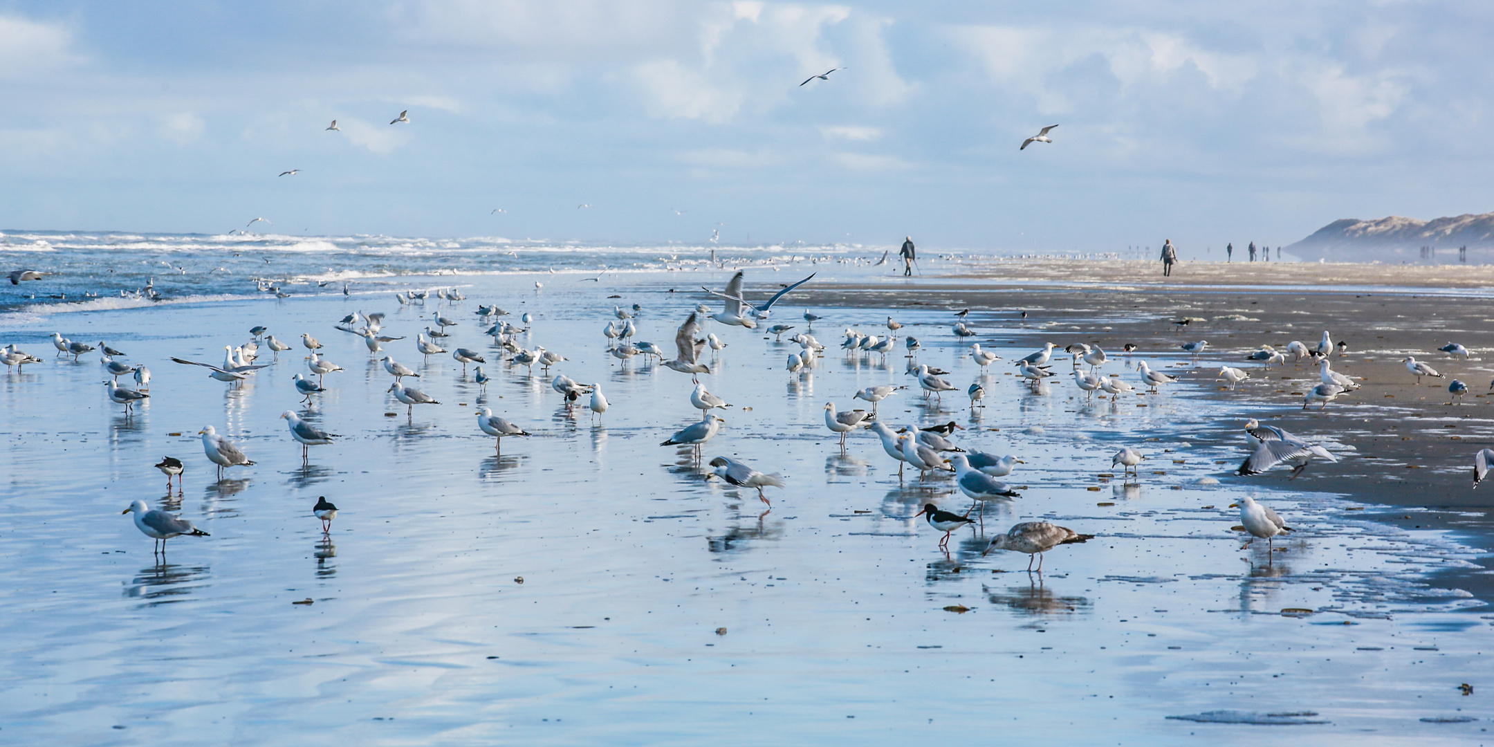 Strandmoment