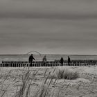 Strandmoment an einem grauen Wintertag.