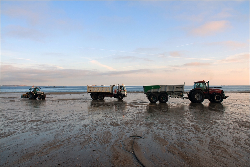 Strandmonster