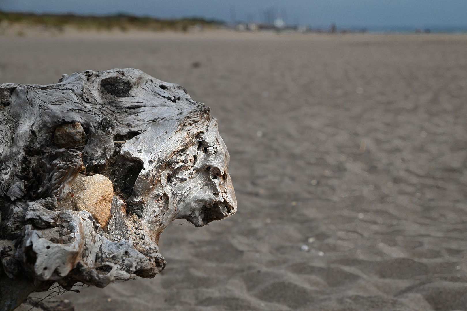 Strandmonster - Monstre de plage 