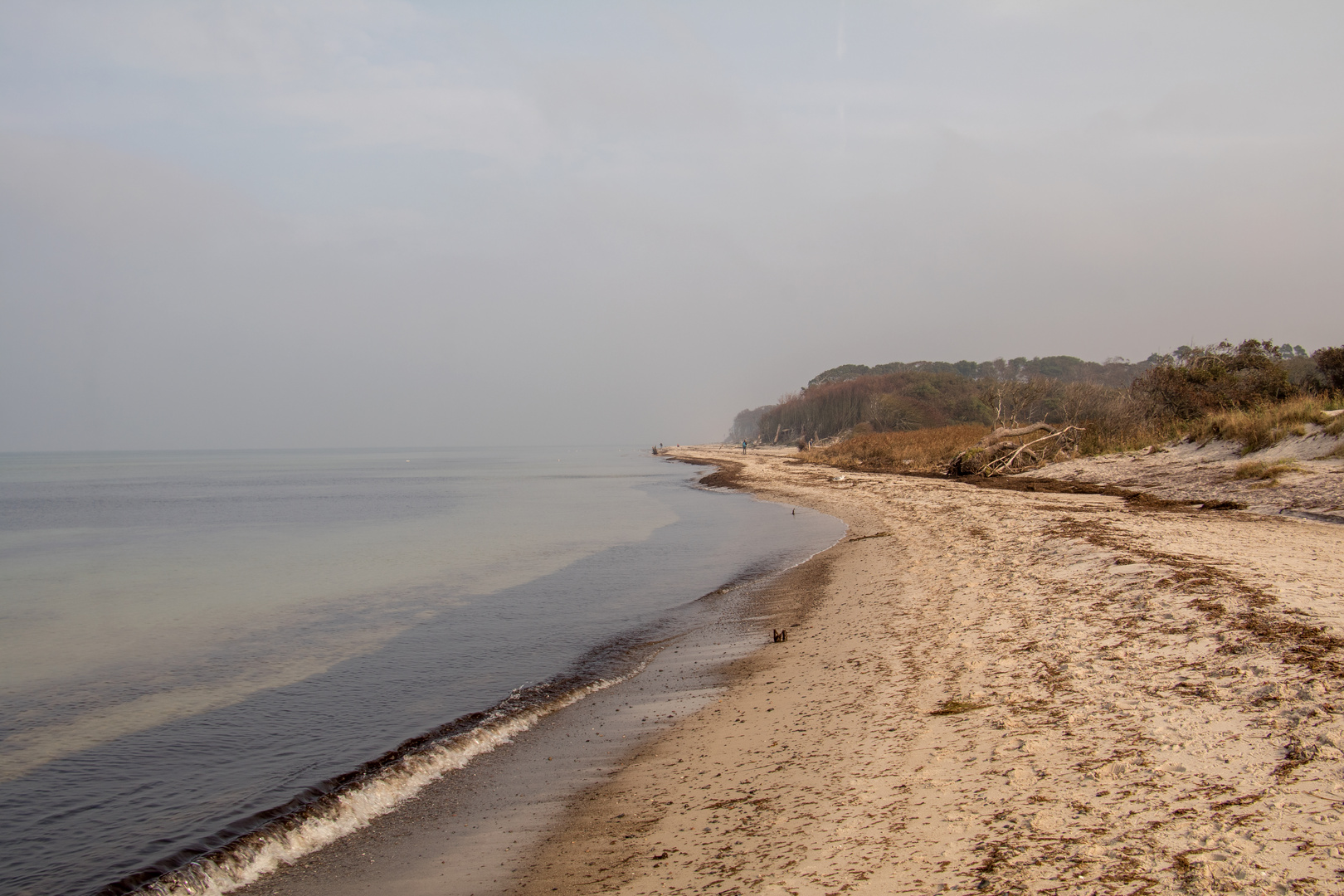 StrandMorgen