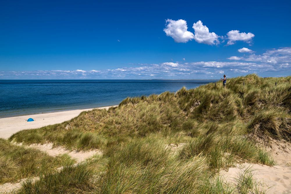 Strandmuschel ...