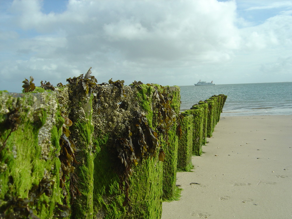 Strandnatur