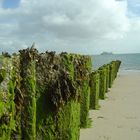 Strandnatur