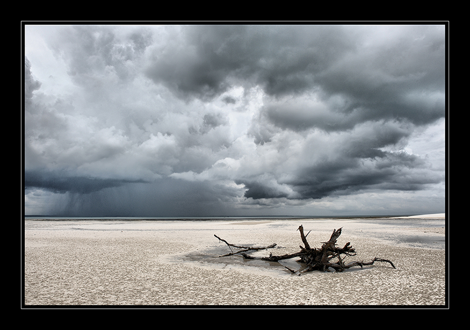 Strandnaturskulptur