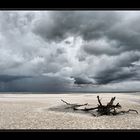 Strandnaturskulptur