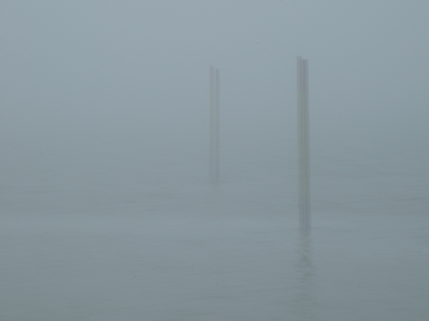 Strandnebel