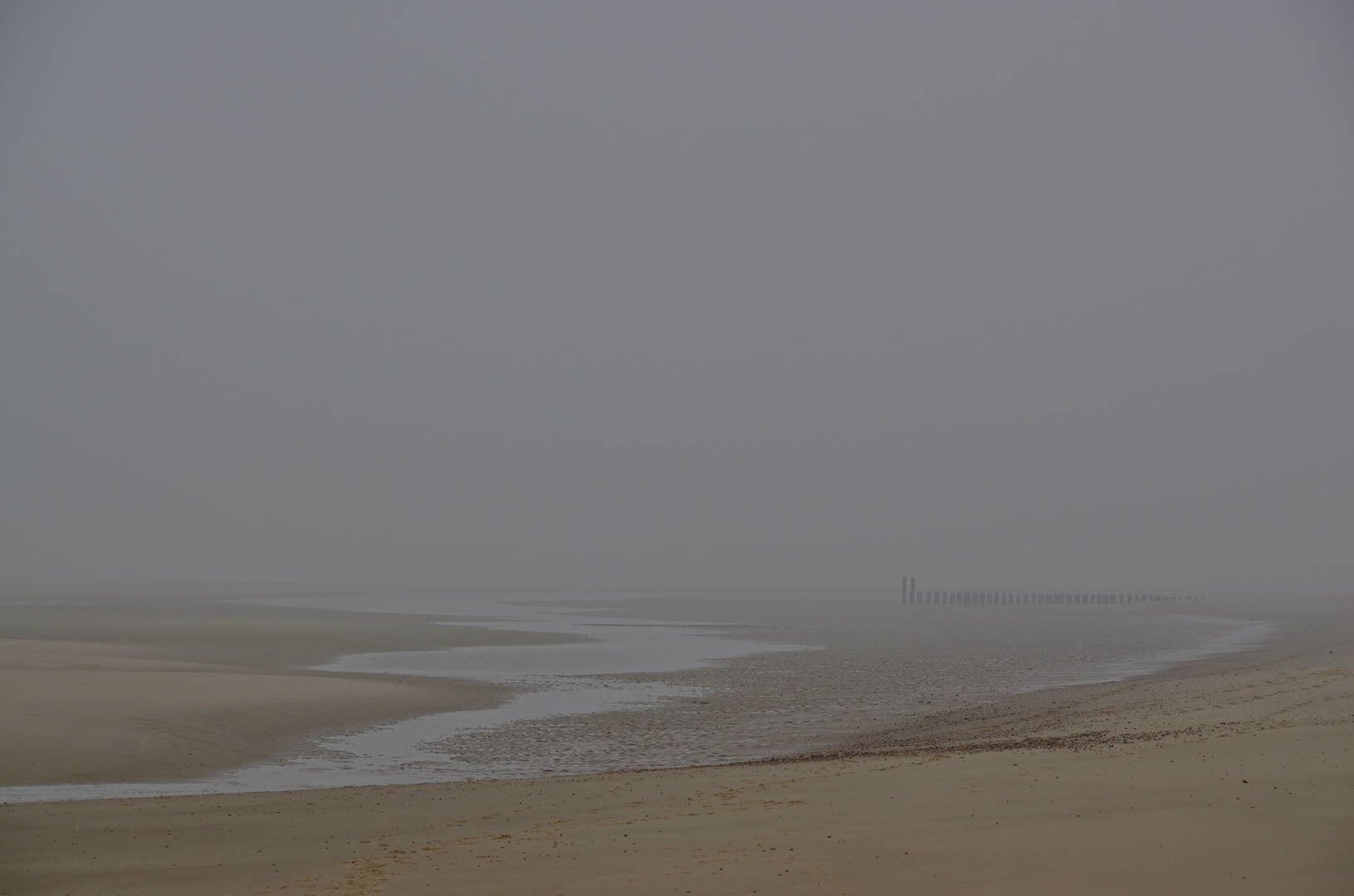 Strandnebel / Nebelstrand