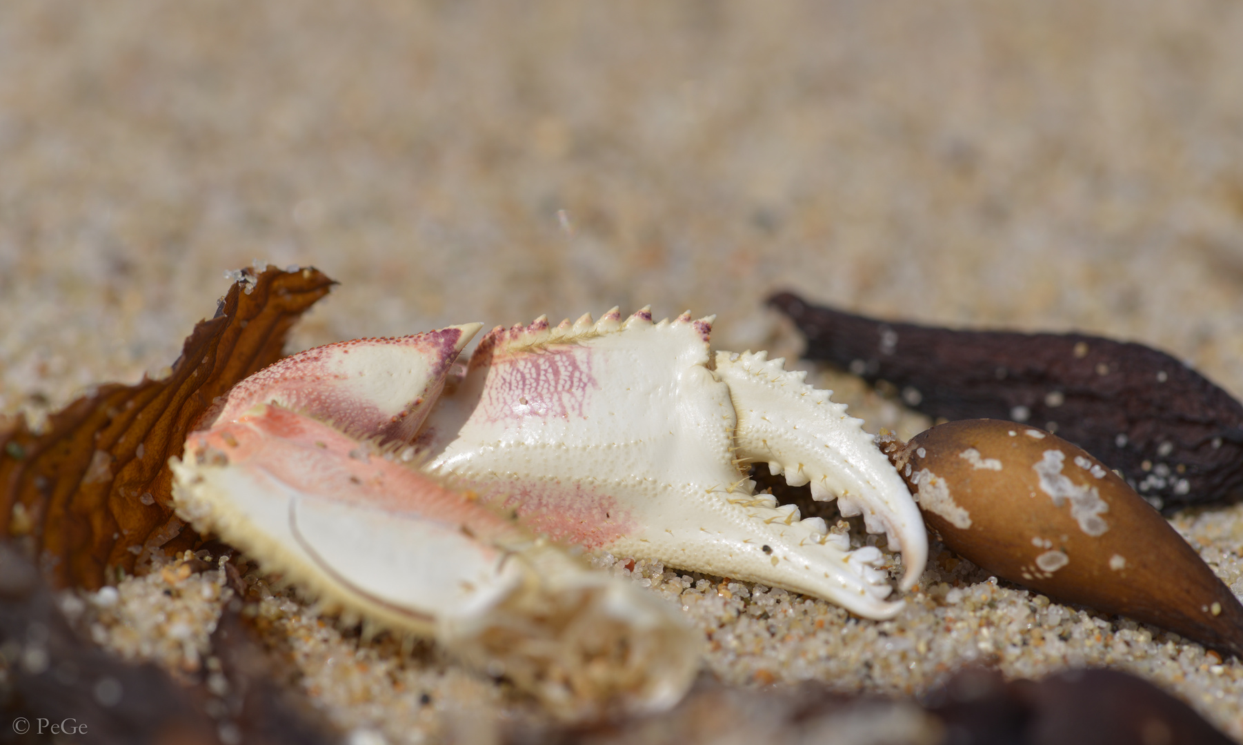 Strand(nicht)gut