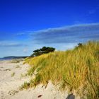 Strandoase Hiddensee 