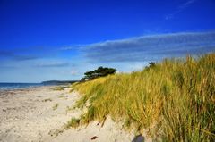 Strandoase Hiddensee 