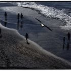 Strandpatrouille .