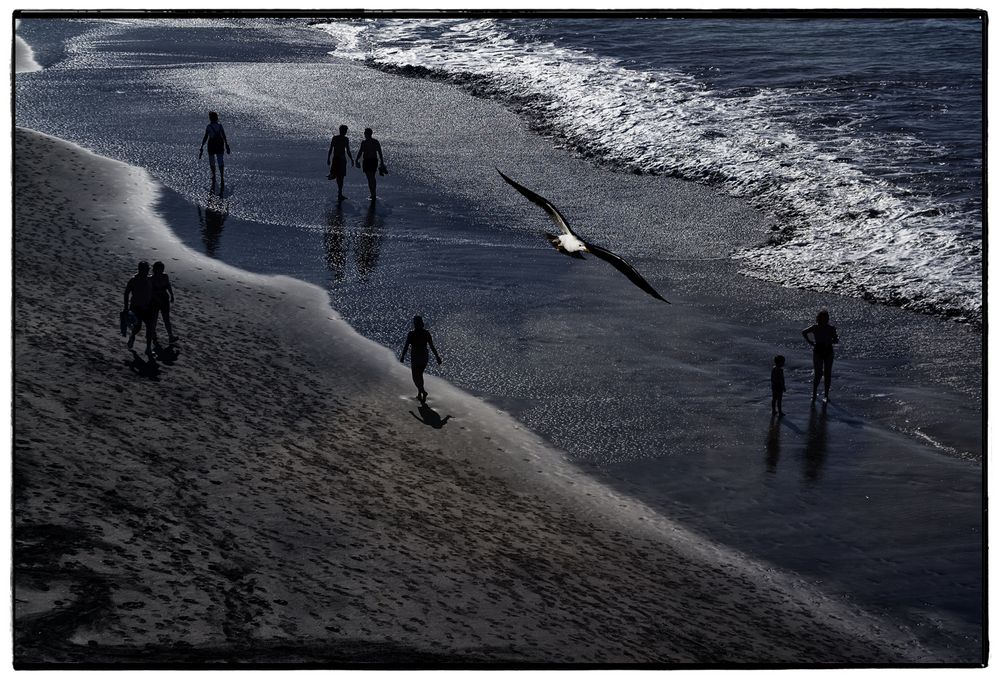 Strandpatrouille .