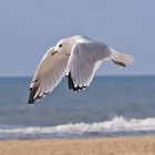 Strandpatrouille