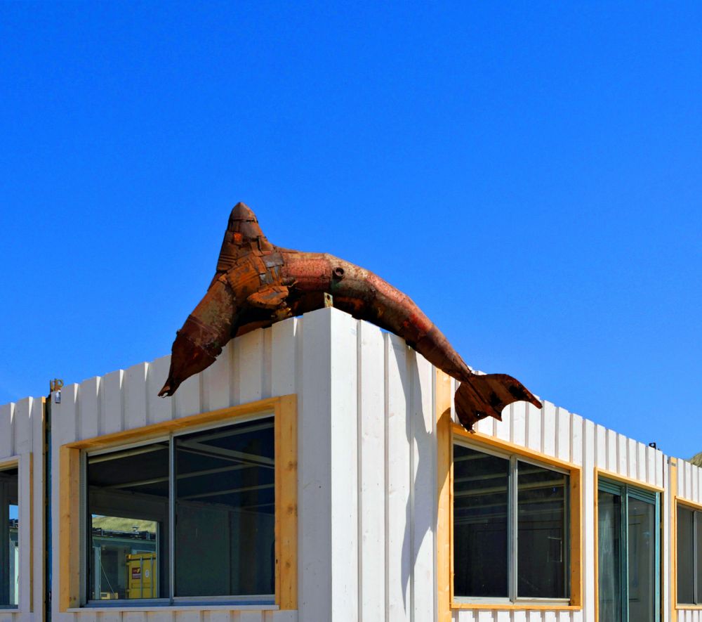 Strandpavillon im Bau - leckerer Fisch schon da !