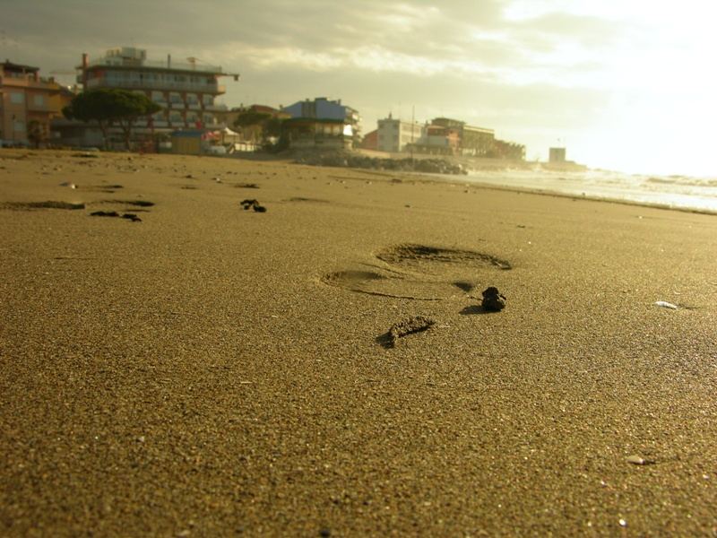 strandperspektive