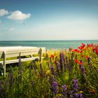 Strandpicknick