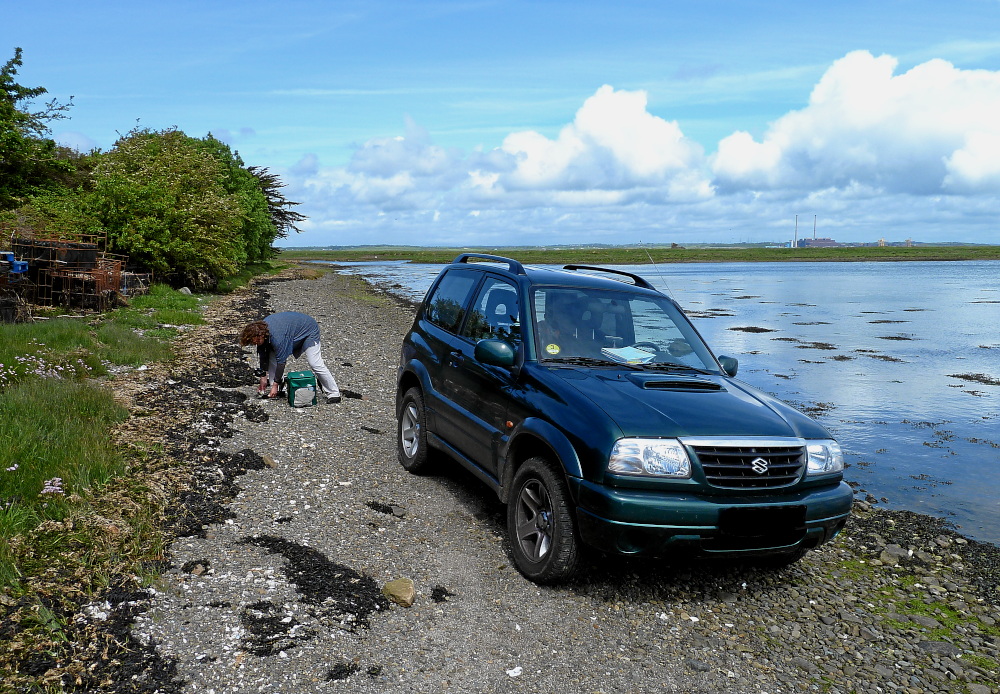 Strandpicknick