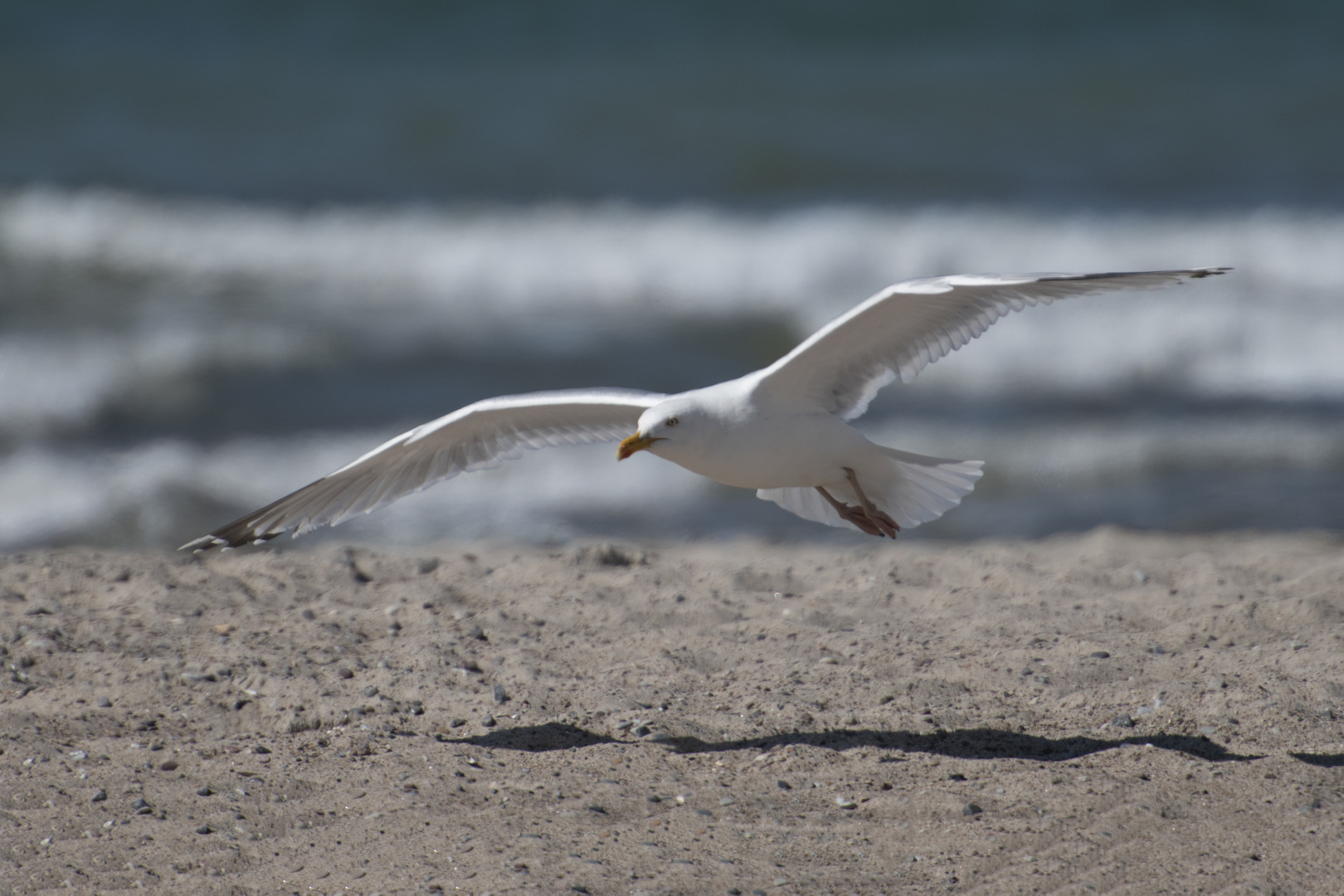 Strandpiraten ....