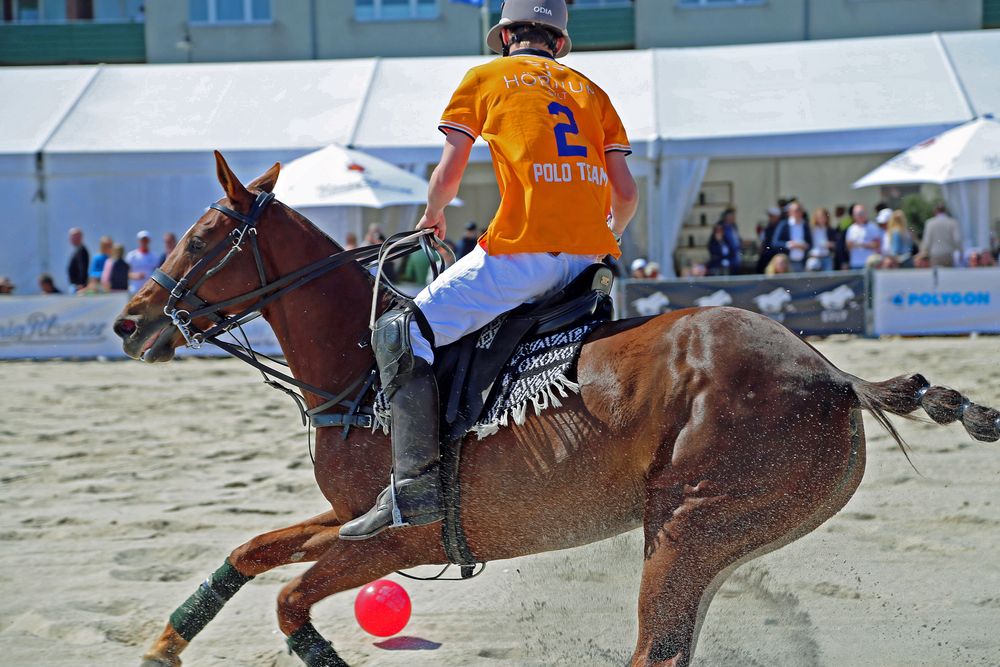 Strandpolo