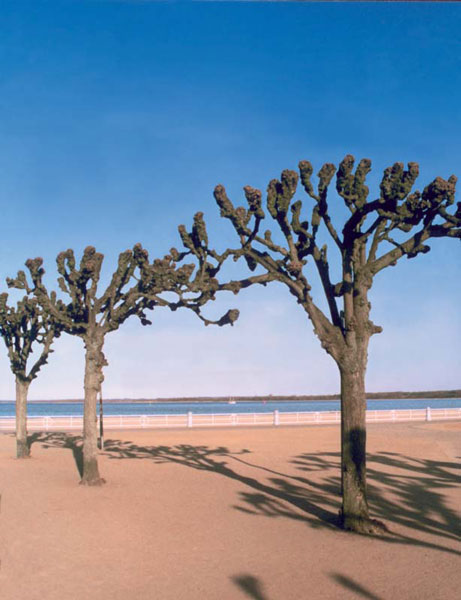 Strandpromenade