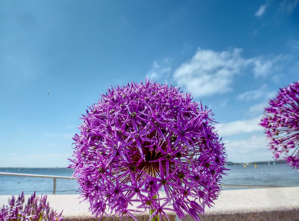 Strandpromenade Altheikendorf