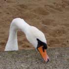 Strandpromenade Edinburgh