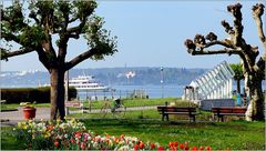 ... Strandpromenade Uhldingen-Mühlhofen ...