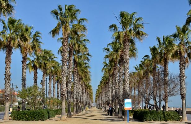 Strandpromenade Valencia